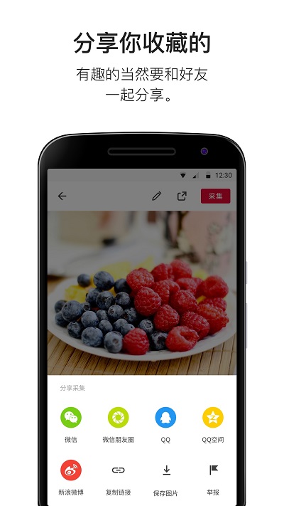 花瓣app软件 花瓣app官方下载