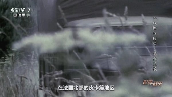 ikun直播2025最新版