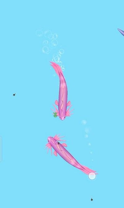 我要召唤神龙万宁版