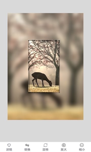 九宫格图片大全免费版