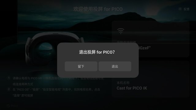 投屏 for pico app