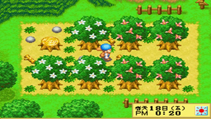 牧场物语精灵驿站完美汉化版