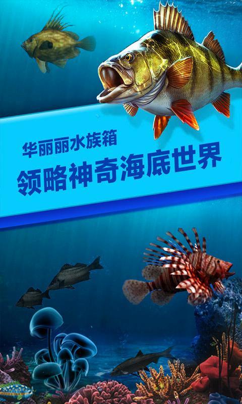 钓鱼时代内购破解版
