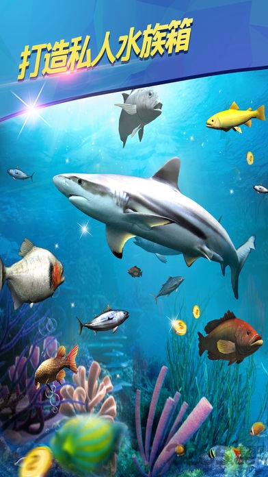 3d海上钓鱼内购破解版