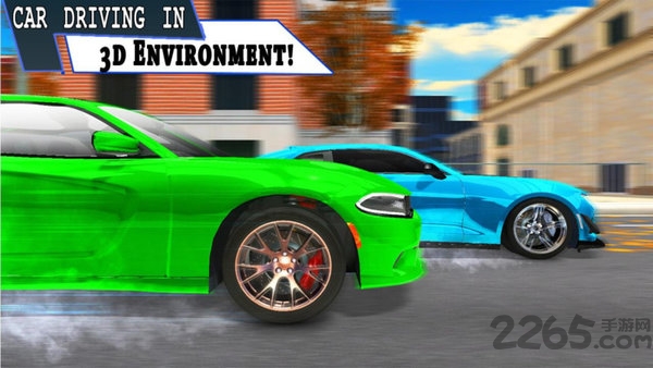 疯狂的汽车赛车手最新版