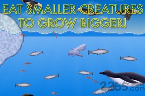 美味海洋2中文版