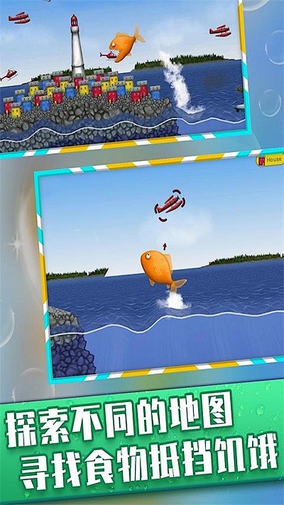 大鱼吞小鱼游戏