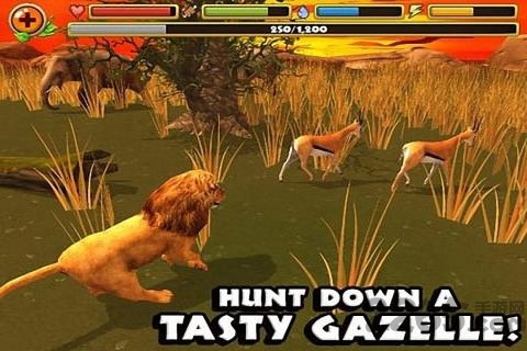 狮子家庭模拟器无限金币版游戏